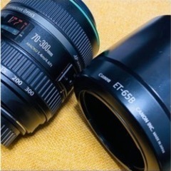 Canon EF70-300mm F4.5-5.6 DO IS USMの画像