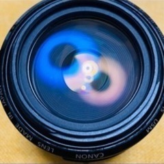 Canon EF70-300mm F4.5-5.6 DO IS USMの画像