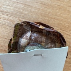 フラワーコサージュの画像