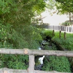 神奈川県横浜市青葉区恩田町 ＃100 不動産0円物件 - 土地販売/土地売買