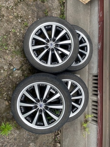 最終値下げ!!大人気！ｼｭﾀｲﾅｰ！ﾌﾞﾗﾎﾟﾘ！！