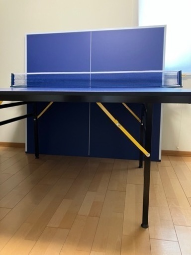 IGNIO卓球台　セパレート式キャスター無し　練習ボール&自作のボールカート付き！　☆配達要相談☆