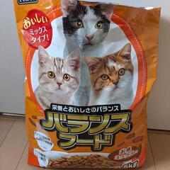 キャットフードの画像