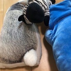 ぬいぐるみの画像