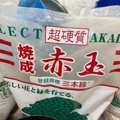 塊根植物　用土　グラキリス　アガベの画像