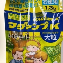 塊根植物　用土　グラキリス　アガベの画像