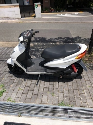 SE12 シグナス