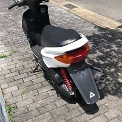 SE12 シグナスの画像