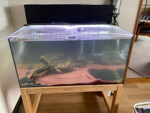 アクリル水槽　美品
