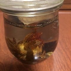 ゼリーキャンドルオレンジ&紅花