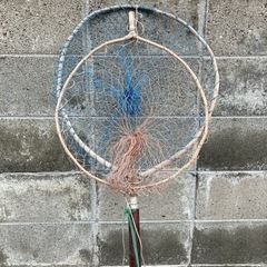 タモ網