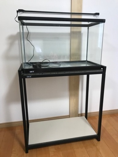 60cmガラス水槽　水槽台セット　愛知県弥富市
