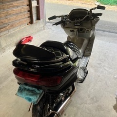マジェスティの画像