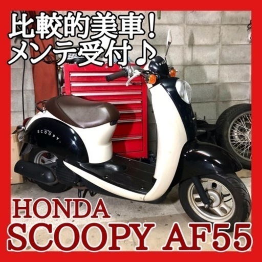 ☆ホンダ スクーピー AF55☆可愛いスクーター！別途整備受付中でお得な整備パックご案内♪是非ご検討ください！