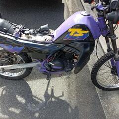 ☆ハスラー50 TS50W☆SUZUKI フルサイズ原付 MT ...