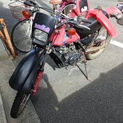 ☆ハスラー50 TS50W☆ SUZUKI フルサイズ原付 50cc オフロードバイク 一応実働？ [多数ご連絡頂いていますが早い者勝ちなのでご了承下さい。]