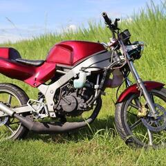 ホンダ　NS-1
