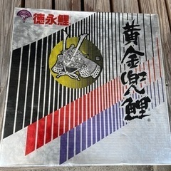 鯉のぼり　　お話し中です
