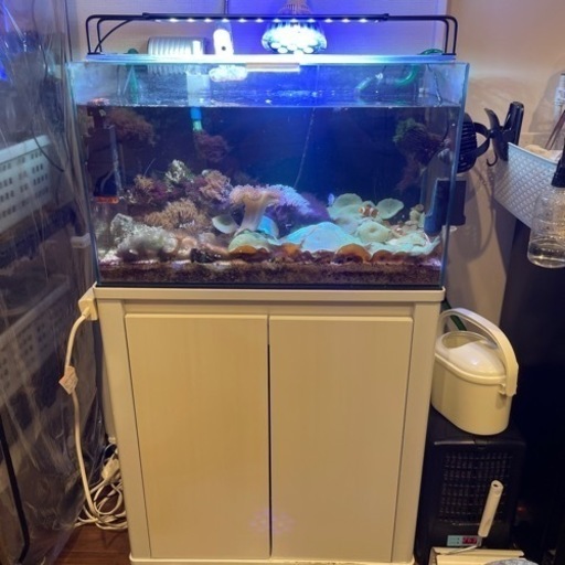 海水魚水槽セット