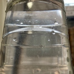 ゾウリムシ　500ml❶