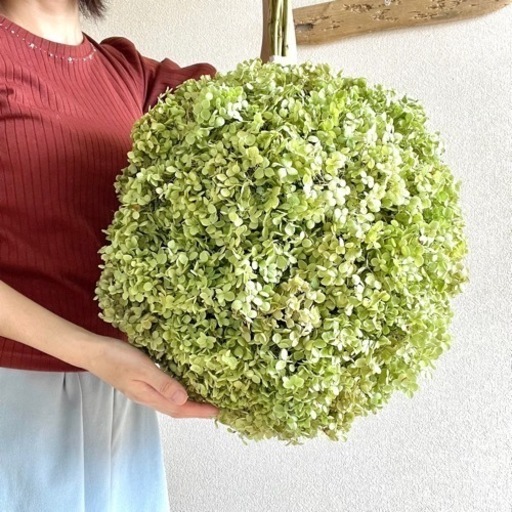 アナベル紫陽花フライングボールリース