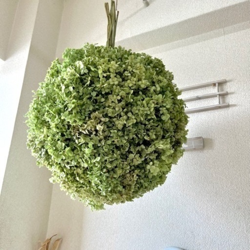 アナベル紫陽花フライングボールリース