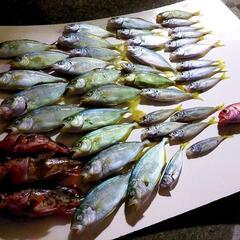 勝手に釣りに行っちゃって倶楽部