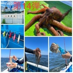 2022年7月第6週❗️手ぶらで『今年ラストの🐙マダコ』船釣り楽...