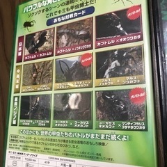 昆虫DVD2枚セットの画像