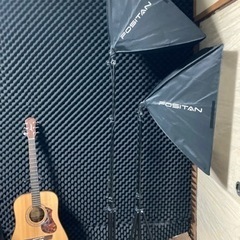 FOSITAN照明