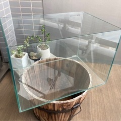 45cm 水槽 ガラス製
