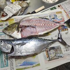 那覇一文字　カゴ釣りサークル − 沖縄県