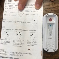 素敵な飼い主様が見つかりました。ありがとうございました。 - 里親募集