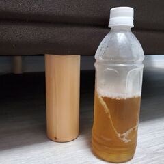 【美品】シングルベッド　ローベッドの画像
