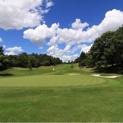 平日限定のゴルファーいませんか？⛳️