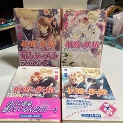 伯爵と妖精　19冊セットの画像