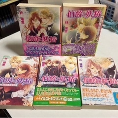 伯爵と妖精　19冊セットの画像