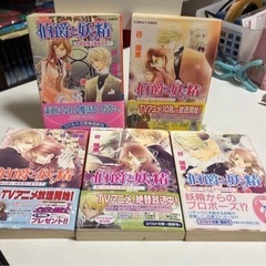 伯爵と妖精　19冊セットの画像