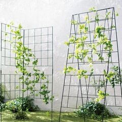 支柱 (園芸用イボ竹、鉄パイプ) をお譲りいただけないでしょうか？ − 大阪府