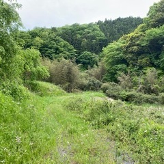 地元に先祖からの空いてる山があります。キャンプ場や畑作りませんか？