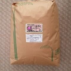 新米◆こだわりの近江米-玄米10kg