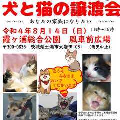 犬と猫の譲渡会　あなたの家族になりたい！