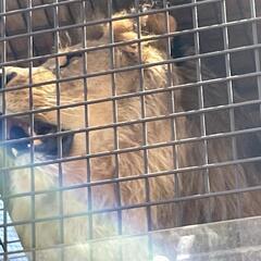 浴室内のパッキン