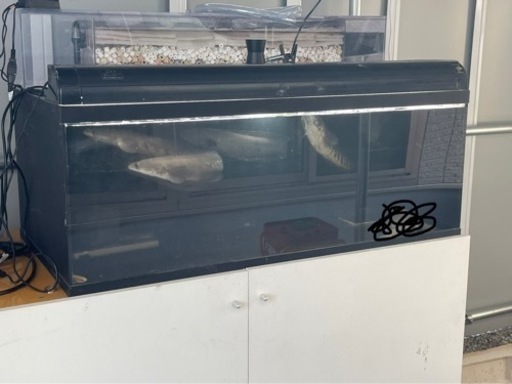 値下げしました！1200 450 600 水槽