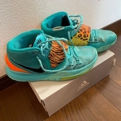 靴　バスケの画像