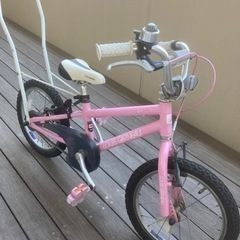 ルイガノ　j16ピンク