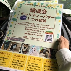 動物たちの幸せのためのご協力