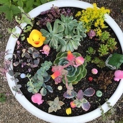 花器　