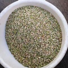 令和4年産　青米(クズ米)集荷買取り致します。
