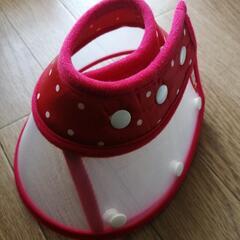猫犬用　エリザベスカラー